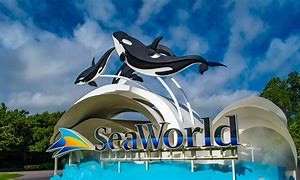 Seaworld