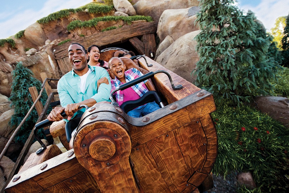WDW-1